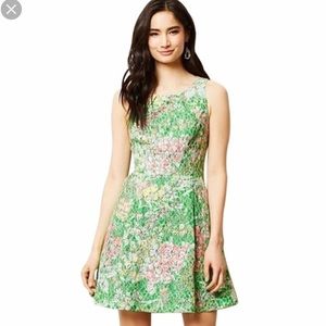 Floral Anthropologie mauve dress size 6.